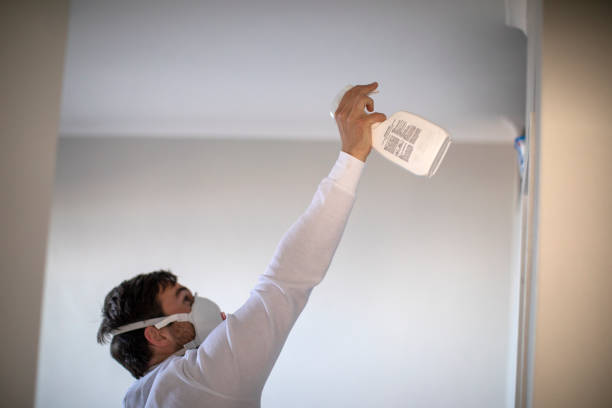 Best Mold Remediation for Schools in Ramsey, MN